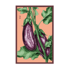 2026 Aubergine Jewel Marble F1 Vegetable Seeds Packet - Chive US Wholesale