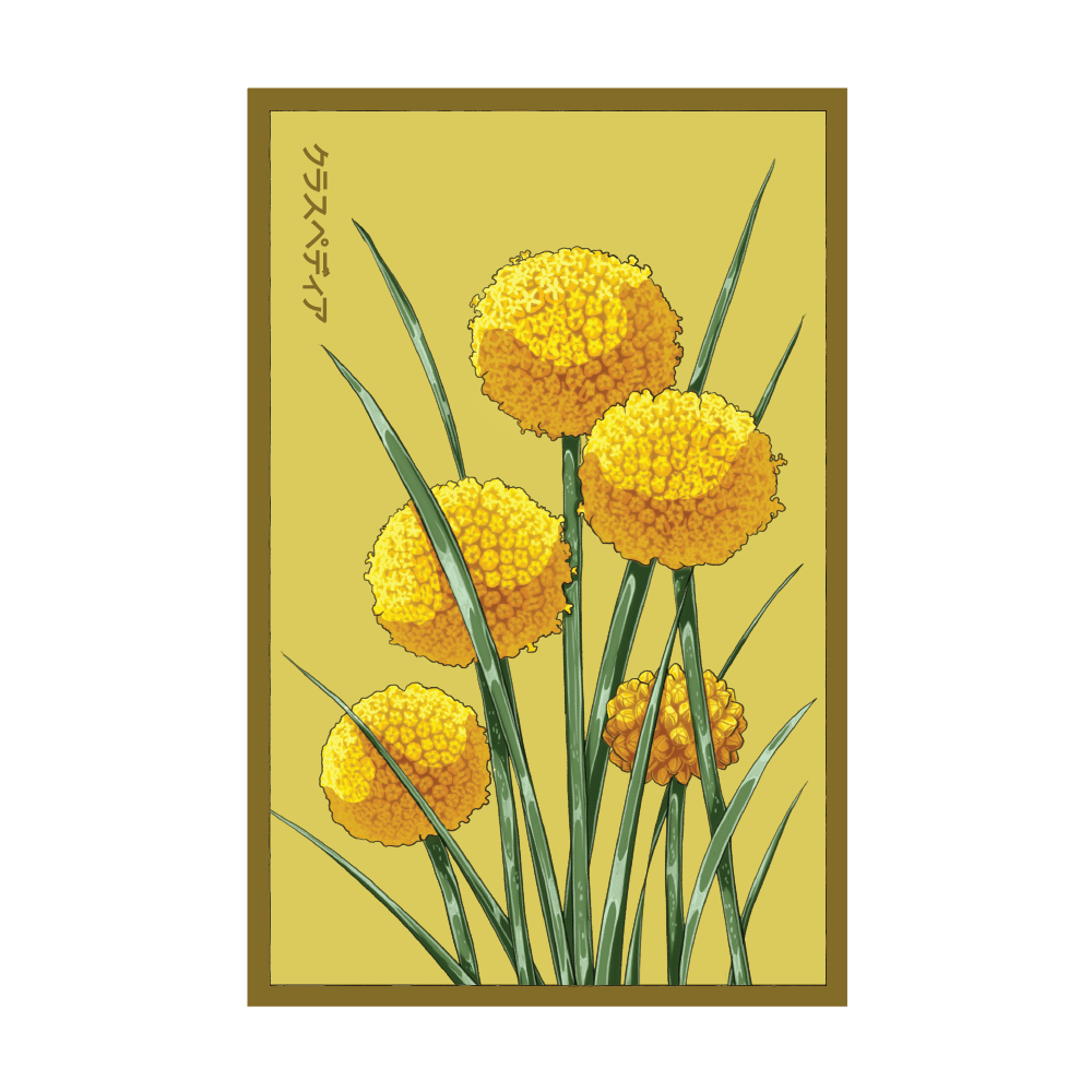 2026 Billy Buttons Flower Seeds Packet - Chive US Wholesale