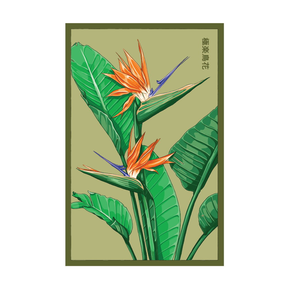 2026 Bird of Paradise Flower Seeds Packet - Chive US Wholesale