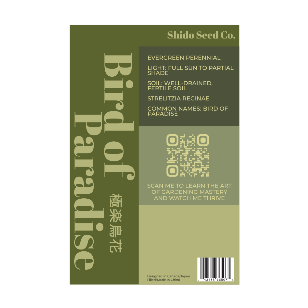 2026 Bird of Paradise Flower Seeds Packet - Chive US Wholesale
