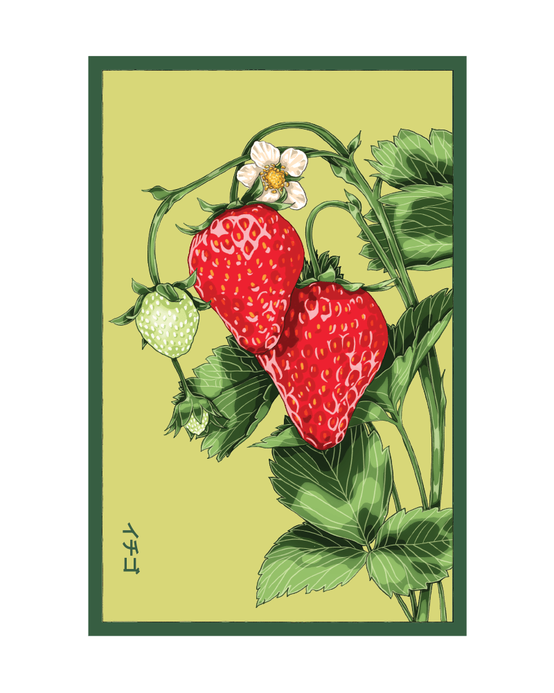 2026 Basket Kisses Strawberry Seeds Packet - Chive US Wholesale