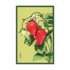 2026 Basket Kisses Strawberry Seeds Packet - Chive US Wholesale