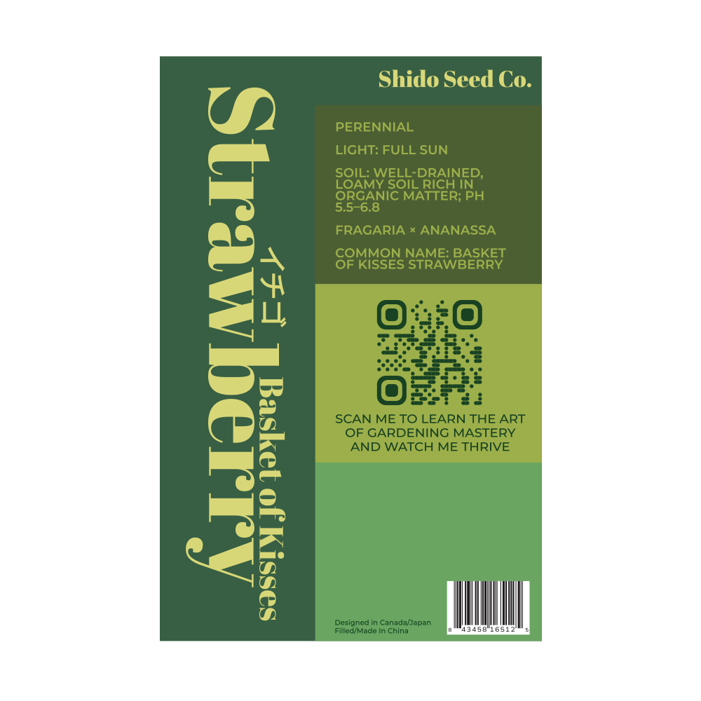 2026 Basket Kisses Strawberry Seeds Packet - Chive US Wholesale