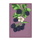 2026 Blackberry Flower Seeds Packet - Chive US Wholesale