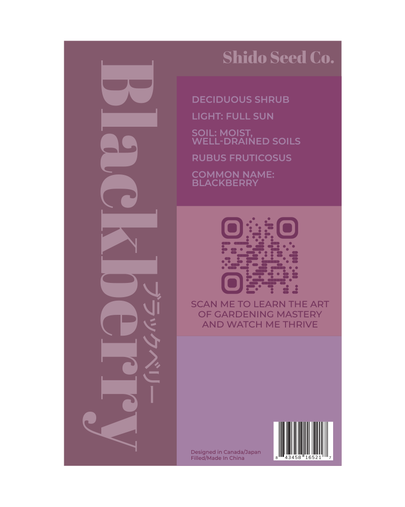 2026 Blackberry Flower Seeds Packet - Chive US Wholesale