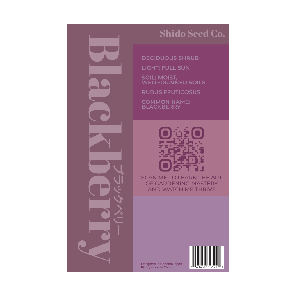 2026 Blackberry Flower Seeds Packet - Chive US Wholesale