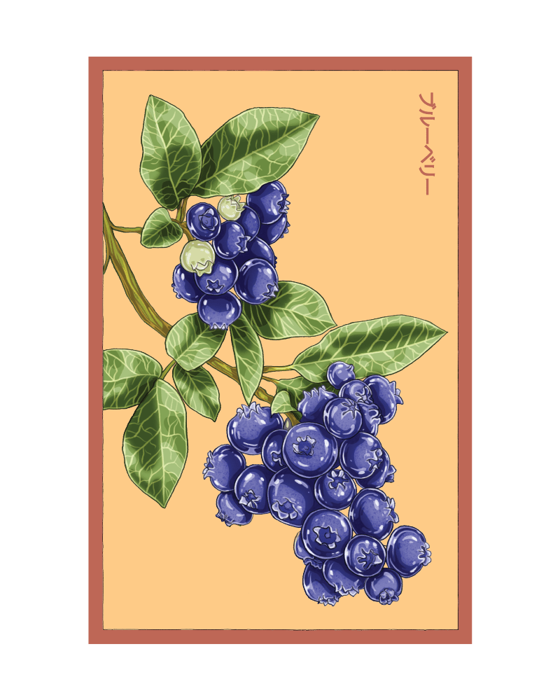 2026 Blueberry Flower Seeds Packet - Chive US Wholesale