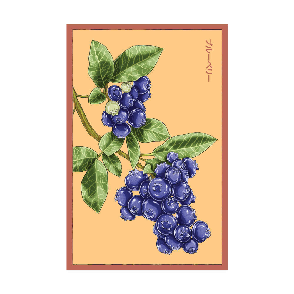 2026 Blueberry Flower Seeds Packet - Chive US Wholesale