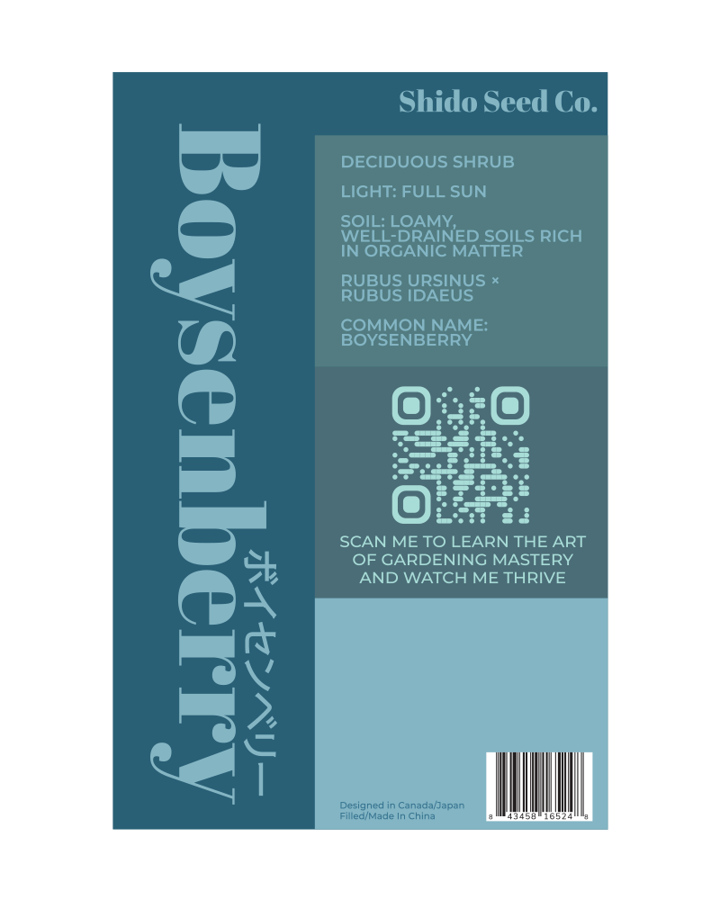2026 Boysenberry Flower Seeds Packet - Chive US Wholesale