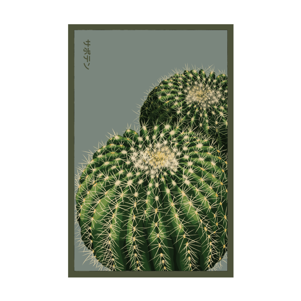 2026 Cactus Indoor Seeds Packet - Chive US Wholesale