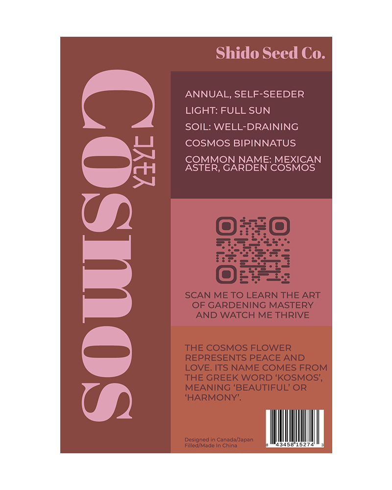 Cosmos Flower Seeds Packet - Chive US Wholesale