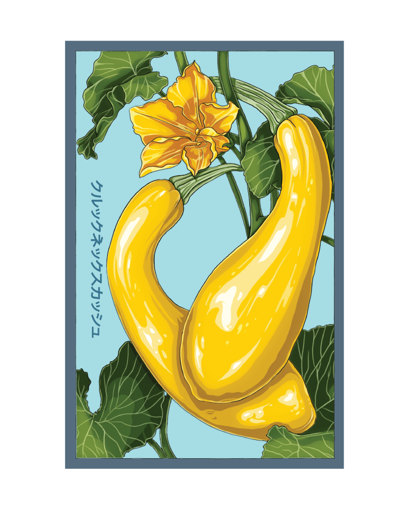 2026 Early Golden Crookneck Squash Vegetable Seeds Packet - Chive US Wholesale