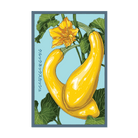 2026 Early Golden Crookneck Squash Vegetable Seeds Packet - Chive US Wholesale