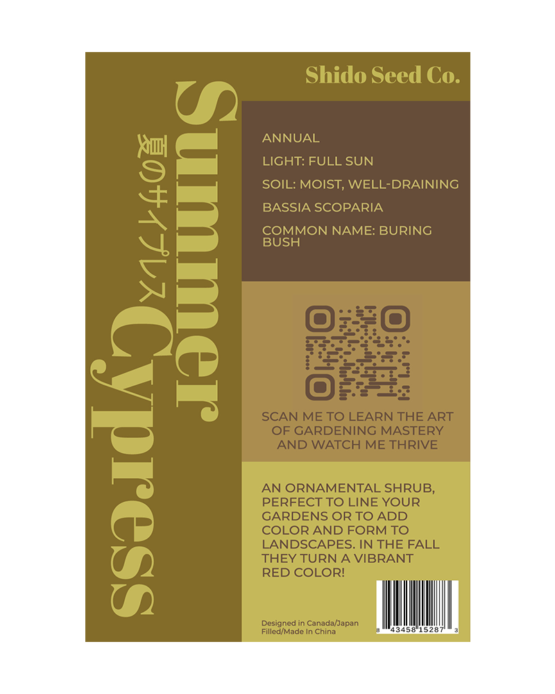 Summer Cypress Flower Seeds Packet - Chive US Wholesale
