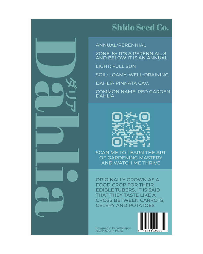 Dahlia Flower Seeds Packet - Chive US Wholesale