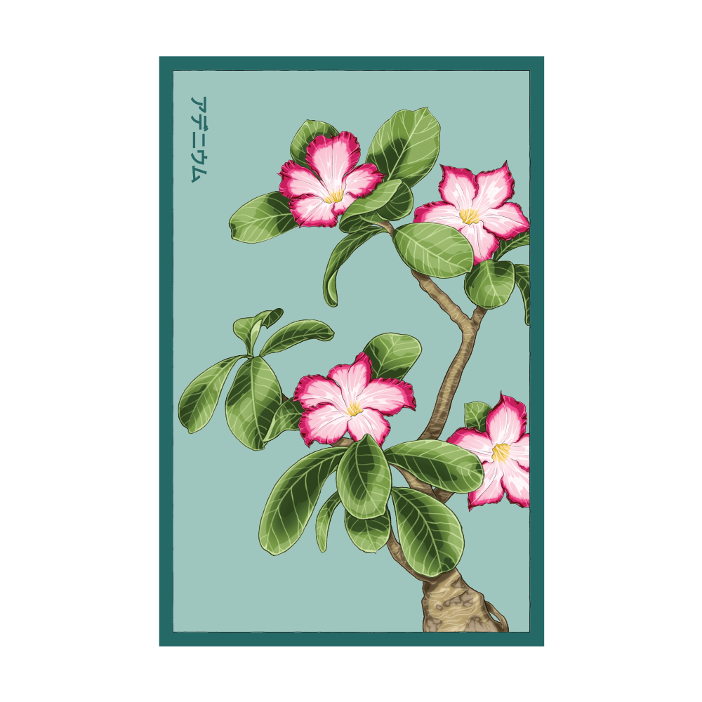 2026 Desert Rose Indoor Seeds Packet - Chive US Wholesale