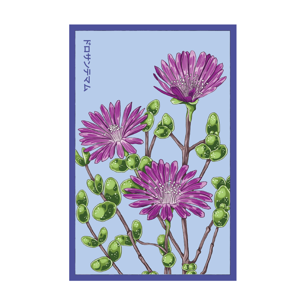 2026 Dewflower Flower Seeds Packet - Chive US Wholesale