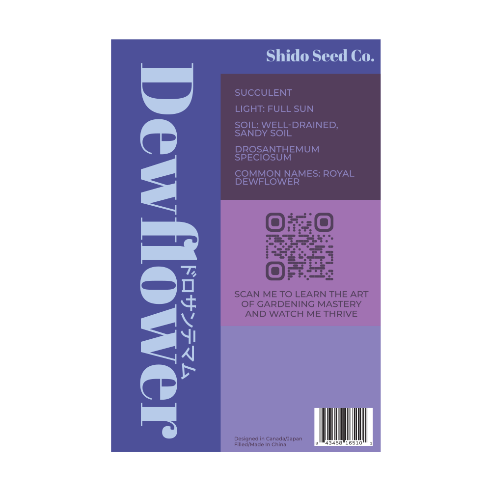 2026 Dewflower Flower Seeds Packet - Chive US Wholesale