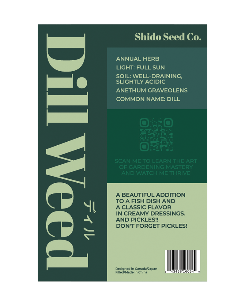 Dill Herb Seeds Packet - Chive US Wholesale