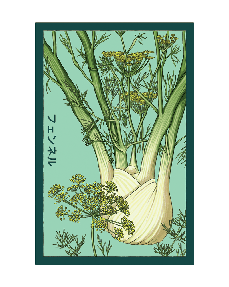 Fennel Vegetable Seeds Packet - Chive US Wholesale