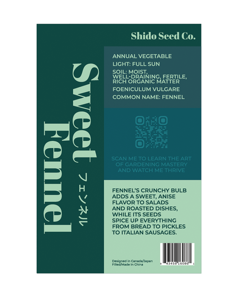 Fennel Vegetable Seeds Packet - Chive US Wholesale
