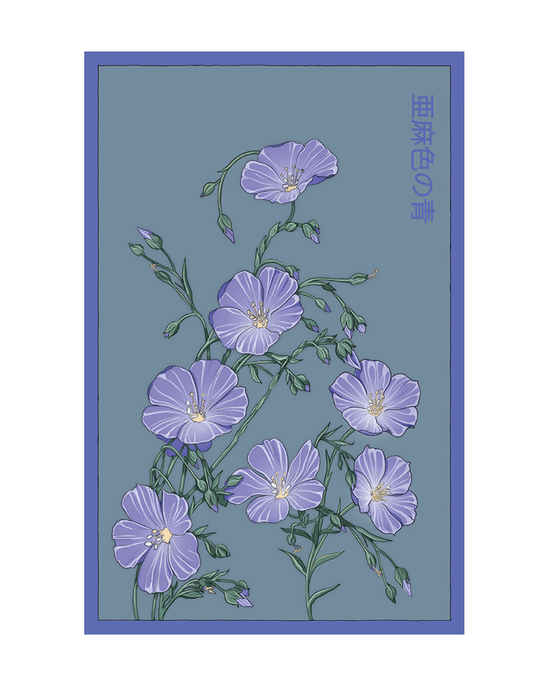 Flax Blue Flower Seeds Packet - Chive US Wholesale