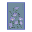 Flax Blue Flower Seeds Packet - Chive US Wholesale