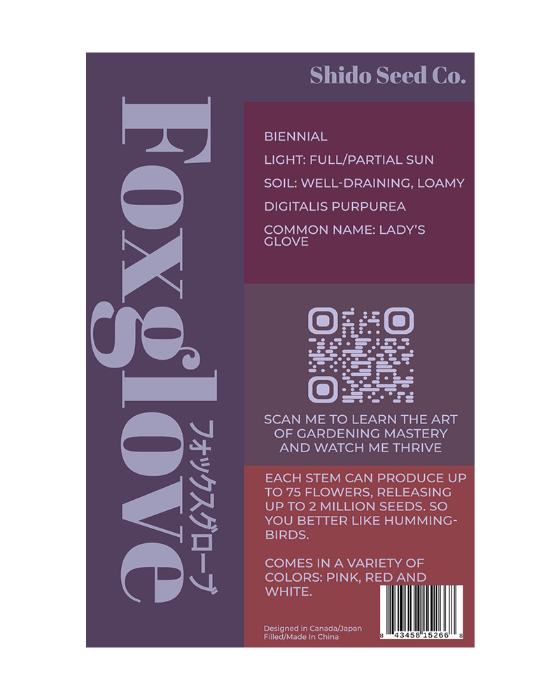 Foxglove Flower Seeds Packet - Chive US Wholesale