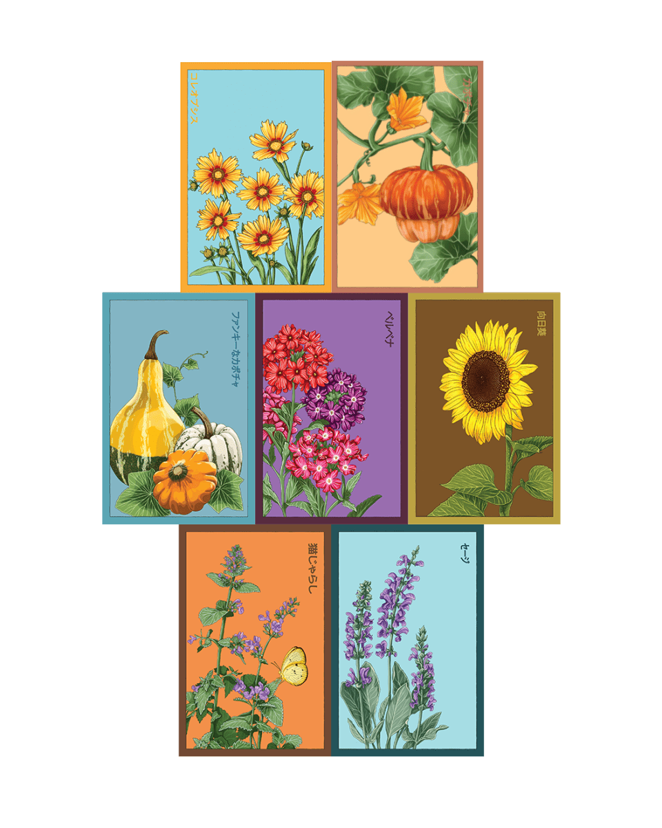 Funky Seeds Packets - 48 Assorted - Chive US Wholesale