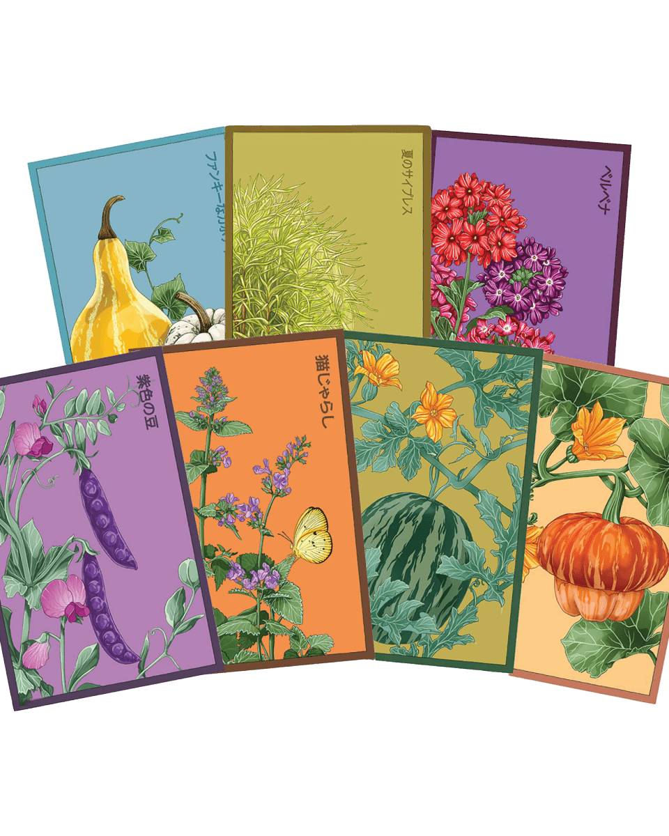Funky Seeds Packets - 48 Assorted - Chive US Wholesale