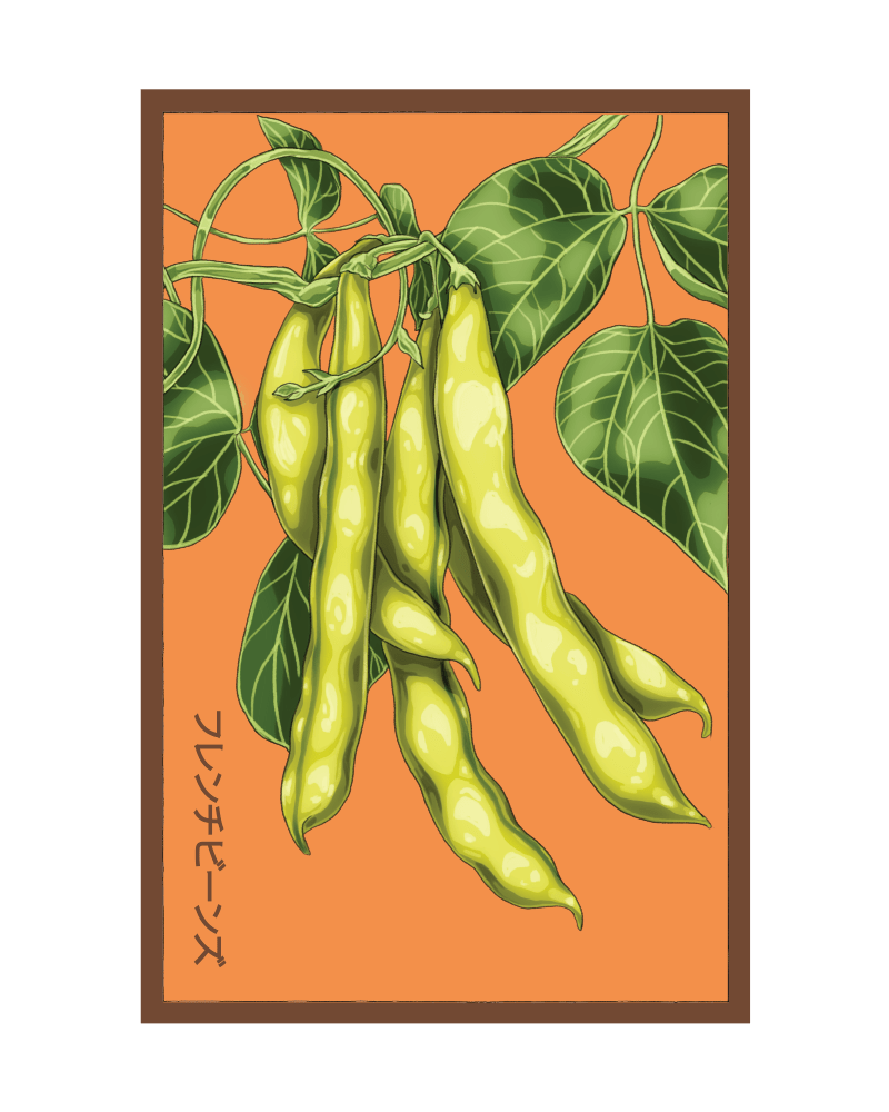 2026 French Beans Vegetable Seeds Packet - Chive US Wholesale