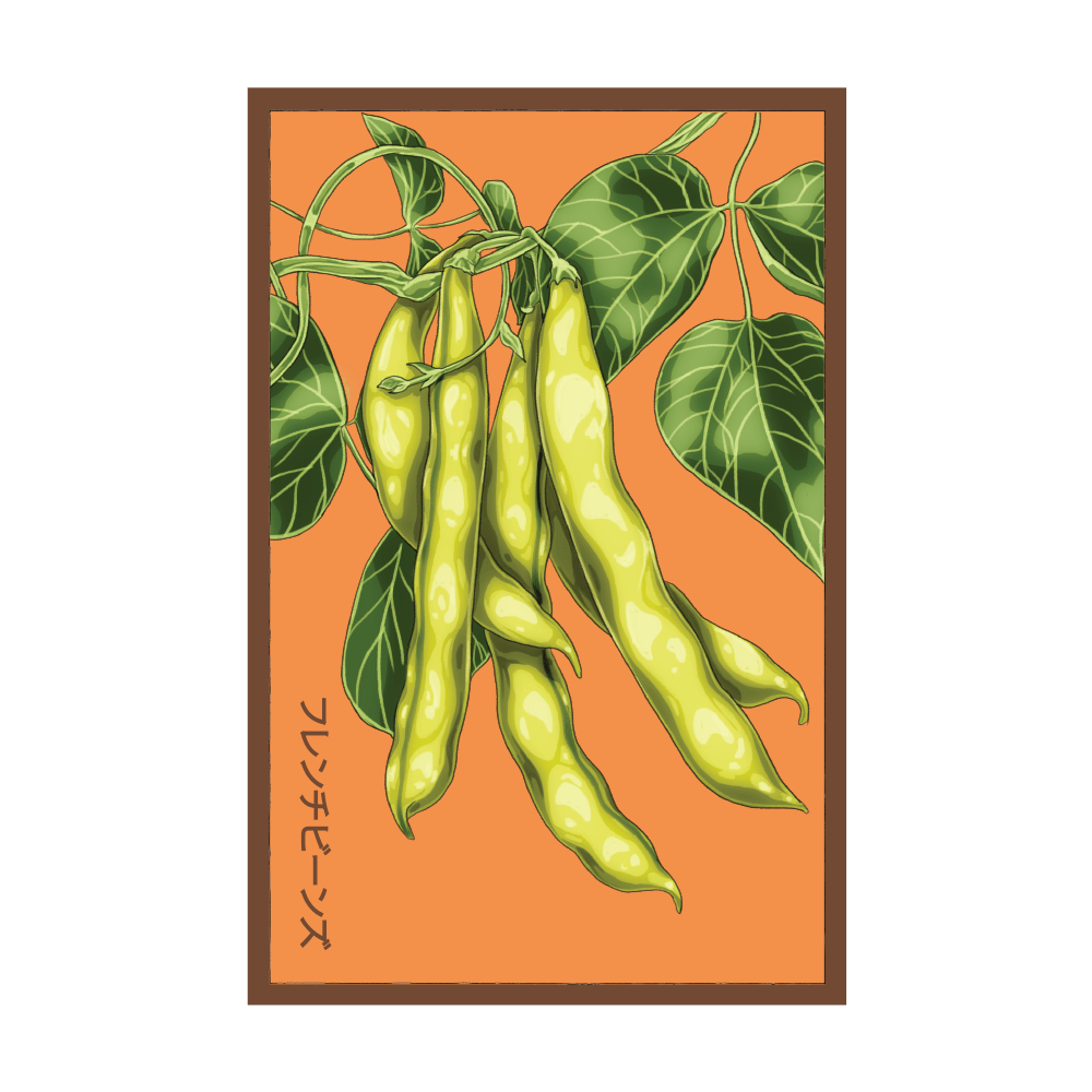 2026 French Beans Vegetable Seeds Packet - Chive US Wholesale