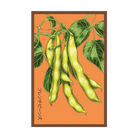 2026 French Beans Vegetable Seeds Packet - Chive US Wholesale