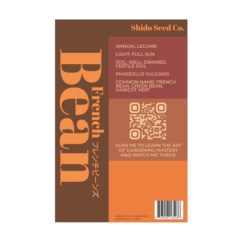 2026 French Beans Vegetable Seeds Packet - Chive US Wholesale