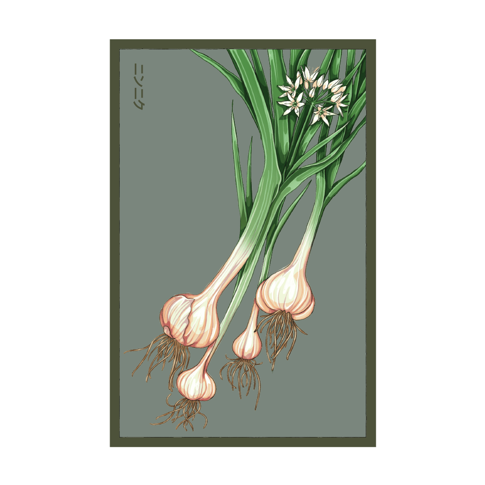 2026 Garlic Vegetable Seeds Packet - Chive US Wholesale