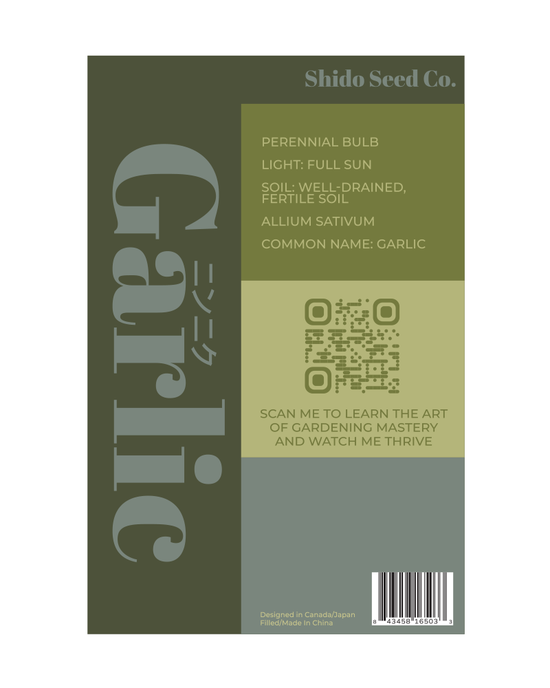 2026 Garlic Vegetable Seeds Packet - Chive US Wholesale
