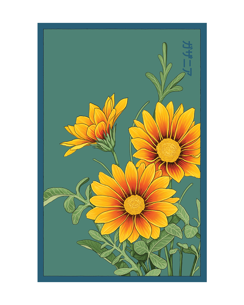 Gazania Flower Seeds Packet - Chive US Wholesale