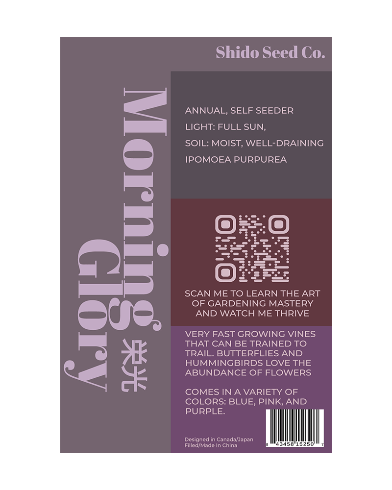 Morning Glory Flower Seeds Packet - Chive US Wholesale