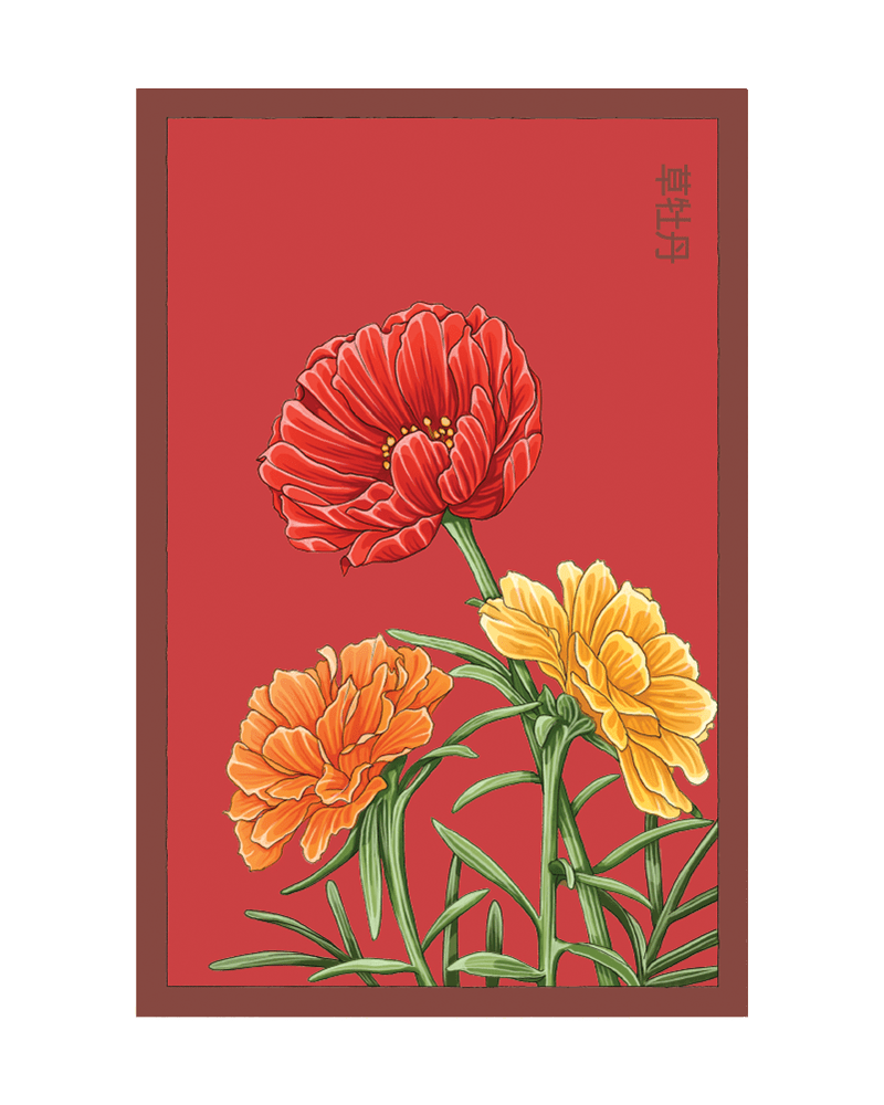 Herbaceous Peony Flower Seeds Packet - Chive US Wholesale