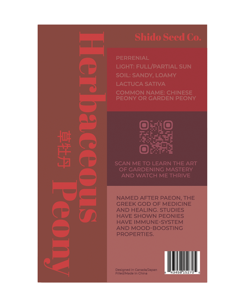 Herbaceous Peony Flower Seeds Packet - Chive US Wholesale