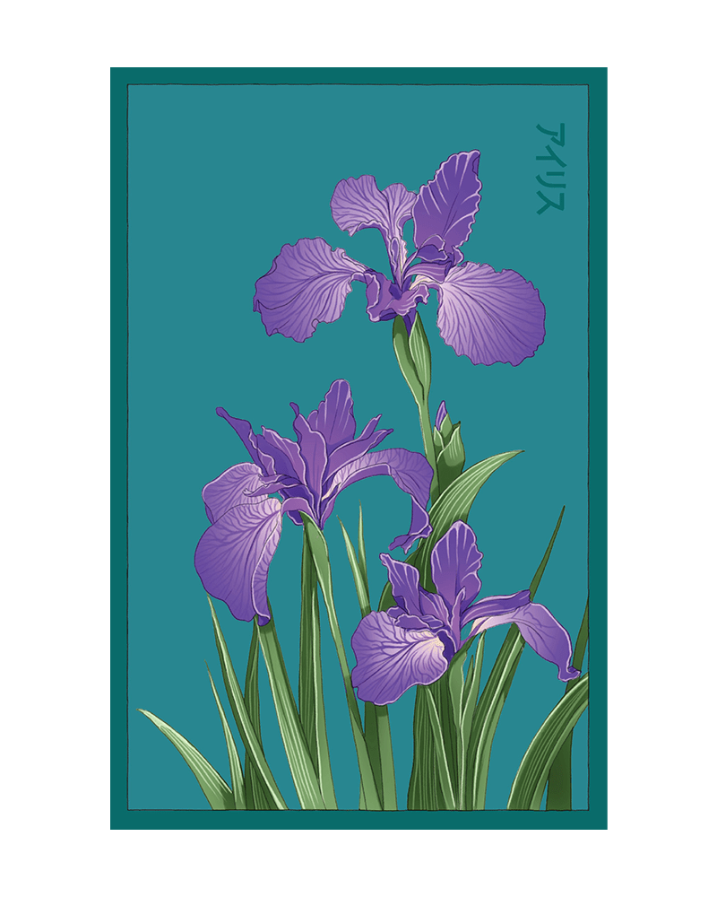 Iris Flower Seeds Packet - Chive US Wholesale