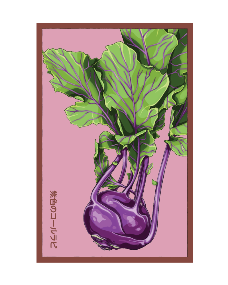 2026 Kohlrabi Purple Delicacy Vegetable Seeds Packet - Chive US Wholesale