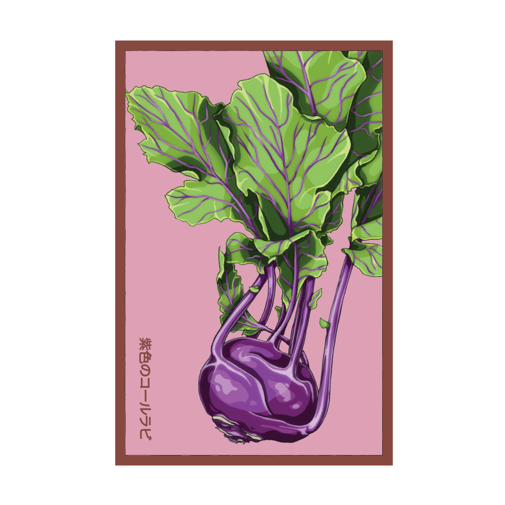2026 Kohlrabi Purple Delicacy Vegetable Seeds Packet - Chive US Wholesale