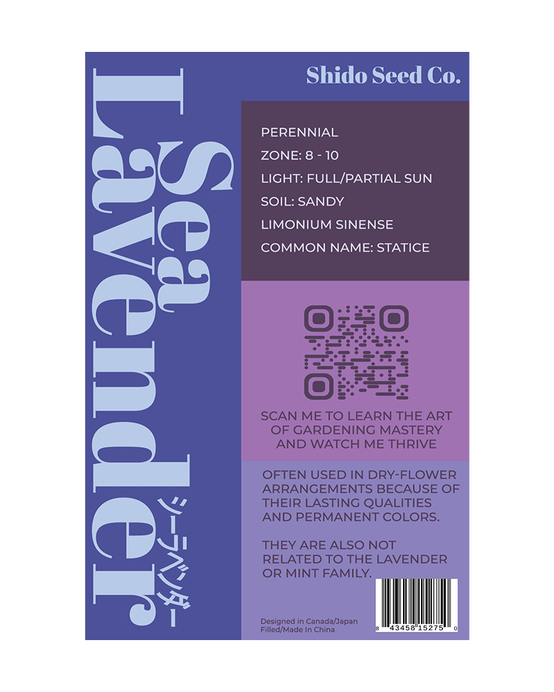 Sea Lavender Flower Seeds Packet - Chive US Wholesale