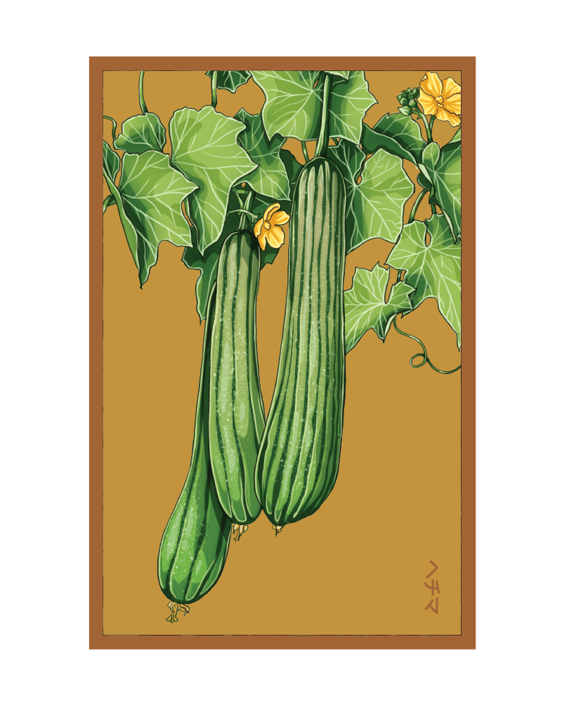 2026 Luffa Sponge Vegetable Seeds Packet - Chive US Wholesale