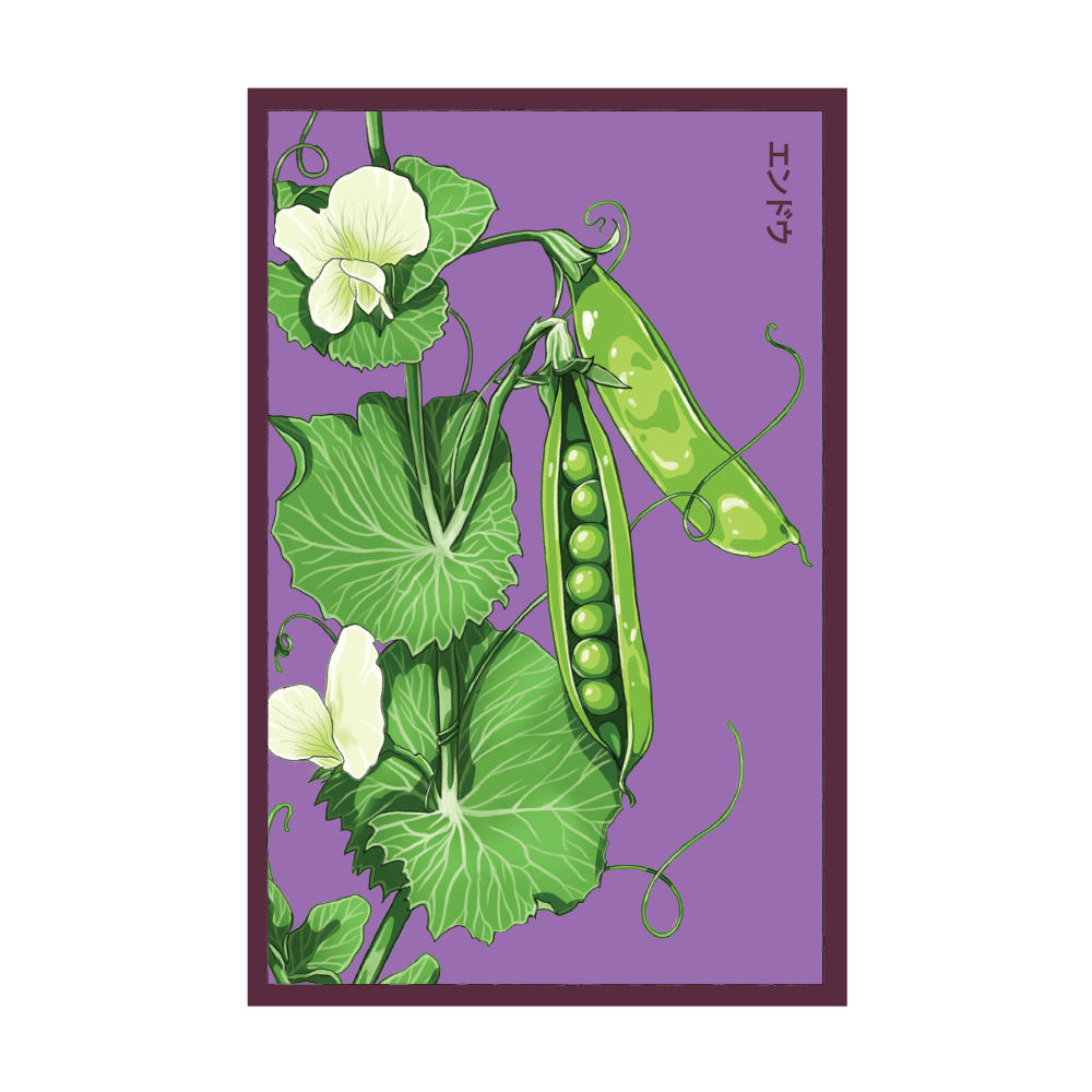 2026 Little Marvel Peas Vegetable Seeds Packet - Chive US Wholesale