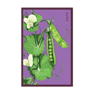 2026 Little Marvel Peas Vegetable Seeds Packet - Chive US Wholesale