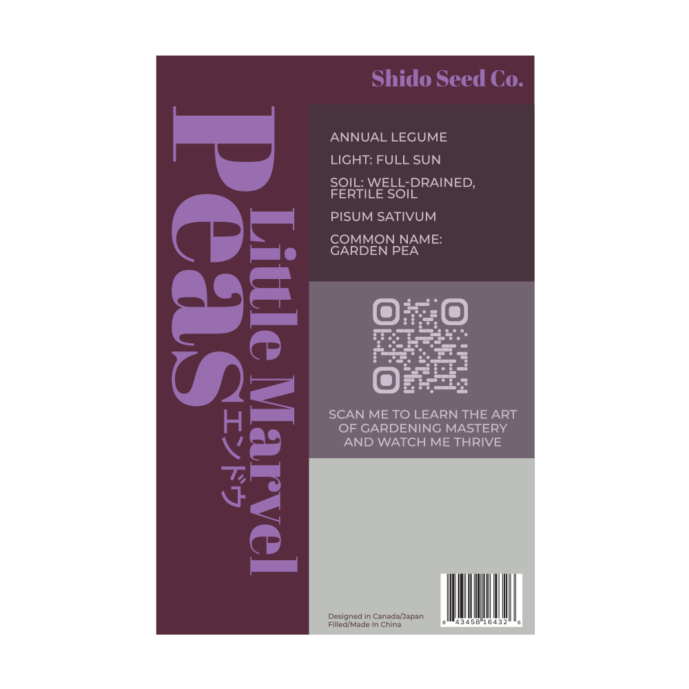 2026 Little Marvel Peas Vegetable Seeds Packet - Chive US Wholesale