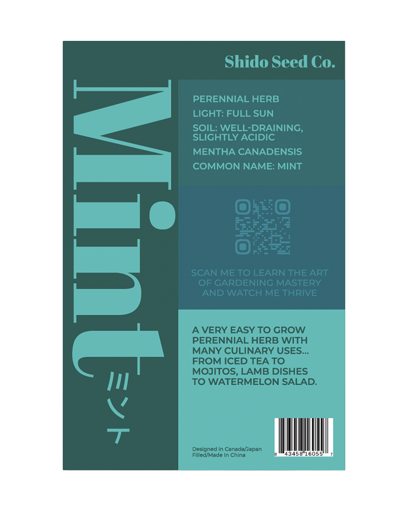 Mint Herb Seeds Packet - Chive US Wholesale