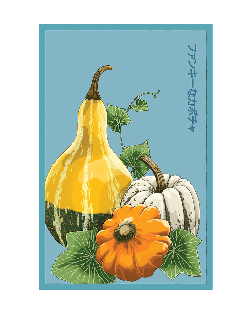 Funky Squash Seeds Packet - Chive US Wholesale